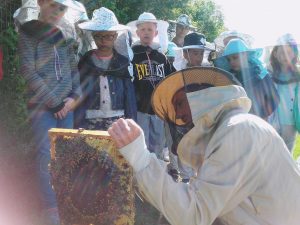 Warsztaty pszczelarskie dla szkół