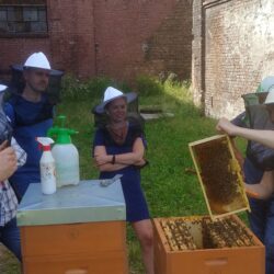 Kurs pszczlarski w Katowicach